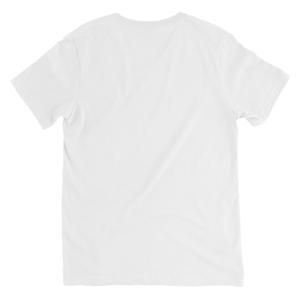 Plain white t-shirt on a white background
